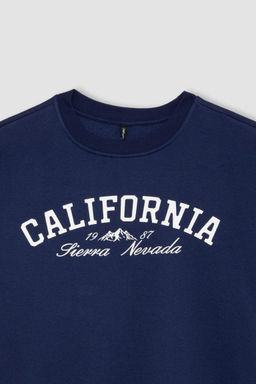 Снова в школу, свободный крой, толстый свитшот с круглым вырезом, повседневный тканевый свитшот - Defacto фото 2