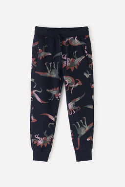 КР 400443/черный,динозавры брюки для мал