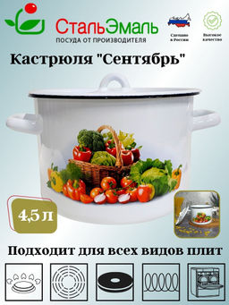 Кастрюля 4,5л 1с17с белосн. Сентябрь