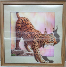 Картина 5D 40х40 264 Рысь/ ZR8210H-222411 /
