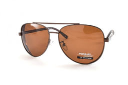 POMILED POLARIZED 08196 C10-32 60-15-139
