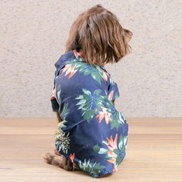 Рубашка для собак и кошек малых и средних пород "СТИЛЬНЫЙ БРО", цвет синий, принт ананасы с цветами, размер L