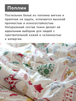 Постельное бельё 2-спальное «Этель. Зимний винтаж», поплин