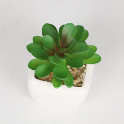 Цветочная композиция Кактус 9 см / FA2891 /уп 12/192/