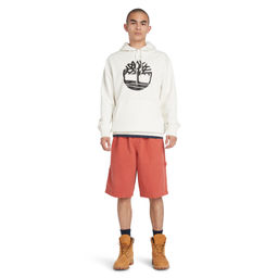 Шорты / Timberland фото 2