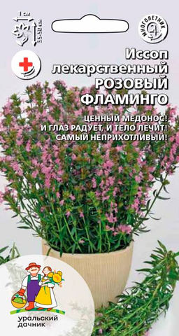Иссоп РОЗОВЫЙ ФЛАМИНГО И глаз радует и тело лечит! Ценный медонос! Крайне неприхотлив!