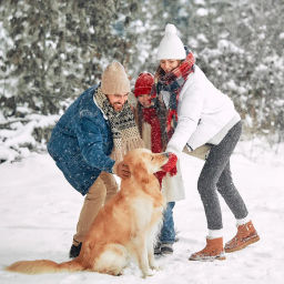 Набор интерьерных украшений, 10 г