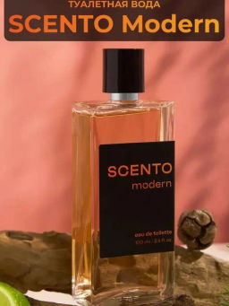 Dilis Туалетная вода для мужчин Scento Modern 100 мл