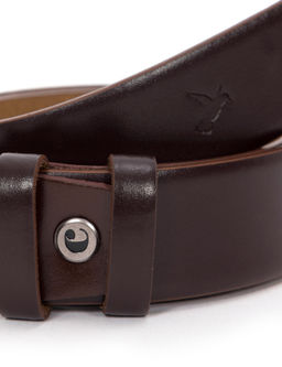 Коричневый пояс