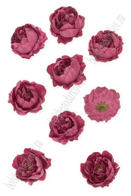 Головки цветов "Пион" 6 см (10 шт) SF-7874, вишневая пенка