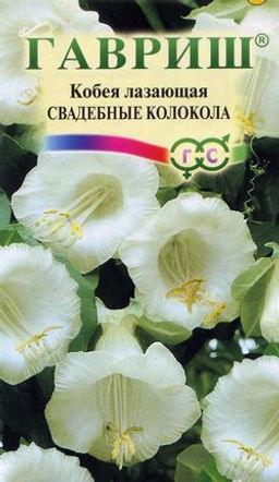 Кобея Свадебные колокола лазающ.5шт (г)