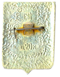 Значок Инсар