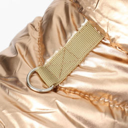 Комбинезон Блеск, размер S (ДС 24 см, ОГ 34, ОШ 23 см, до 5 кг), золотой - Simaland фото 4