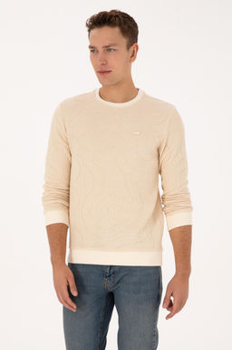Erkek Krem Sweatshirt