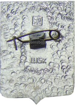 Значок Камышин