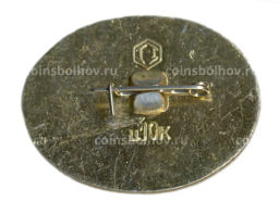 Значок Кижи  памятник архитектуры  Дом Ошевнева