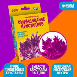 Набор для творчества Лучистые кристаллы, цвет фиолетовый
