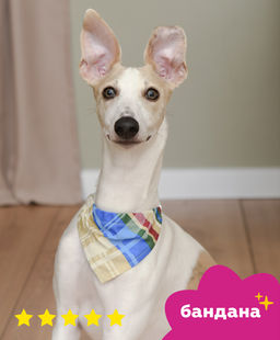 Бандана "Баден", цветная клетка, размер L, ош40см-55см,арт.бан31L бан31L 11сд22