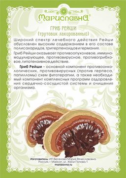 Гриб Рейши (трутовик лакированный) - Мариславна фото 3
