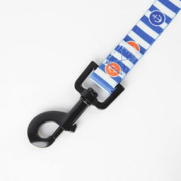 Поводок Для большого путешествия, 2 см, 2 м - Пушистое счастье фото 7