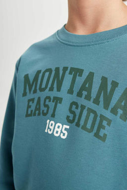 Толстовка с принтом для мальчиков с круглым вырезом - Defacto фото 5