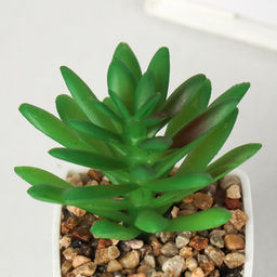 Цветочная композиция Кактус / WER-19 /уп 12/192/ микс - Галеонтрейд фото 19