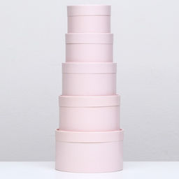 Набор шляпных коробок 5 в 1,Пастельный 20 х 12,18 х 11,16 х 10,14 х 9,13 х 8,5 см - Simaland фото 2