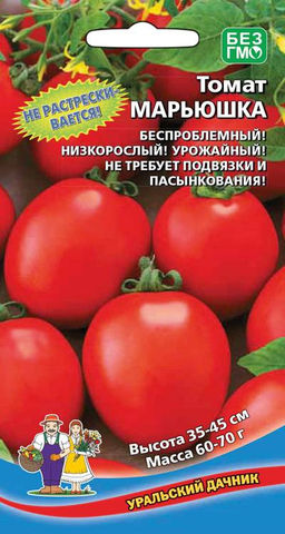 Томат МАРЬЮШКА Не растрескивается! Беспроблемный! Не требует подвязки и пасынкования!