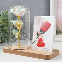 Фоторамка для фото 9×13 см настольная светящаяся «Голография. Роза в колбе», от батареек, 2×LR1130, 9.8×19.5×18 см