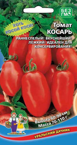 Томат КОСАРЬ  Кусты усыпаны плодами! Созревает одновременно! Хоть косой коси кустики при уборке урожая!