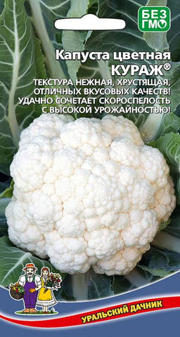 Капуста цветная КУРАЖ  Нежная и хрустящая текстура! Удачно сочетает скороспелость с высокой урожайностью!