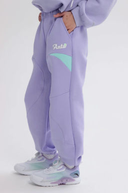 Брюки трикотажные Сиреневый - Anta sport фото 4