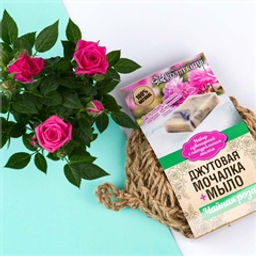 Джутовая вязанная мочалка с натуральным мылом Чайная Роза - Зеленая коробка фото 3