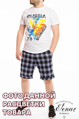 Костюм (футб+шорты) х/б Арт. 11807П 2-набивка - Елена фото 2