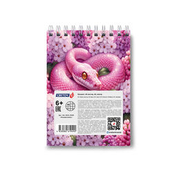 Б121 Светоч Блокнот на гребне A6 40 л. 6 шт. клетка Розовая жизнь 01225  фото 5