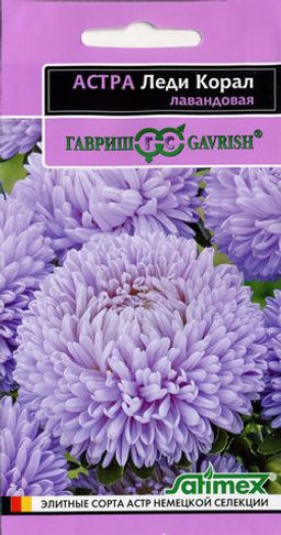 Леди Корал лавандовая астра розовидная 0,1гр (г)