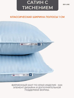 Наперник NP 50х70 на молнии для подушки Bio-Line, сатин, на молнии набор из 2 штук