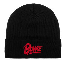 Шапка AMERICAN NEEDLE арт. 21019A-BOWI Bowie Cuffed Knit (черный)