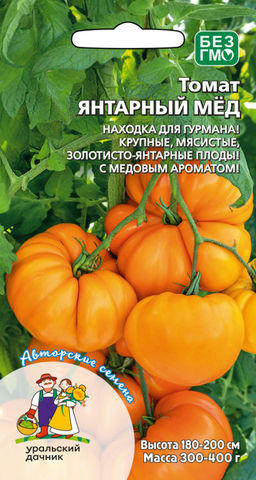 Томат ЯНТАРНЫЙ МЁД Весь увешан плодами! Находка для гурмана! Крупные, мясистые, золотисто-янтарные плоды! Медовый аромат!