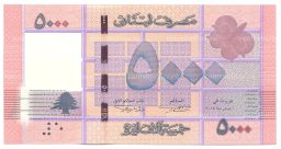 Банкнота 5000 ливров 2014 года