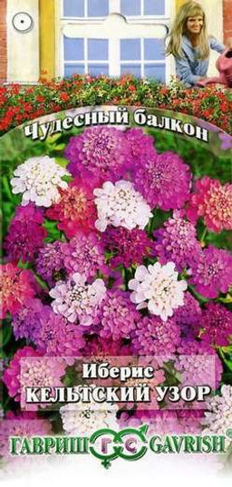 Кельтский узор иберис 0,1г (г)