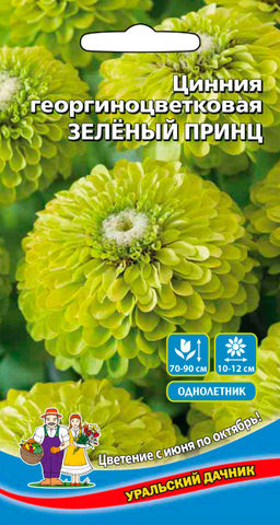 Цинния ЗЕЛЁНЫЙ ПРИНЦ  Георгиноцветковая