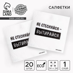 Цена за 2 шт. Салфетки бумажные однослойные «Не стесняйся-вытирайся», 24×24 см, набор 20 шт.