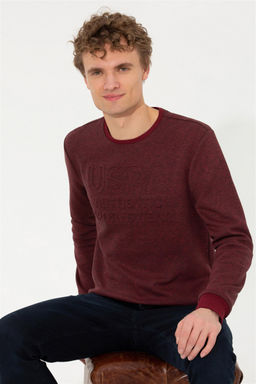 U. S. Polo Assn / Мужской свитшот вишневого цвета - U.s. polo assn фото 9