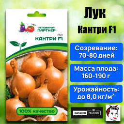 Лук репчатый Кантри - Партнер фото 3