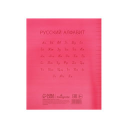 Цена за 10 шт. Тетрадь 12 листов линейку, Calligrata «Красная», пластиковая обложка