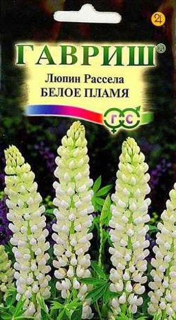 Люпин Рассела Белое пламя 0,5гр (г)