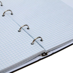 Тетрадь на кольцах, в клетку, 80 листов Аниме (ч/б), обложка 7БЦ, без вырубки под кольца, блок офсет - Calligrata фото 12