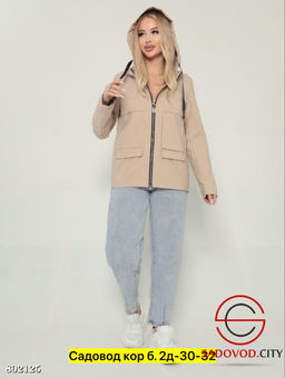 Ветровка с капюшоном, весенняя