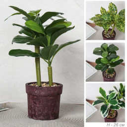 Цветочная композиция Зелень 26 см / 9090-14 /уп 12/72/ - Галеонтрейд фото 8